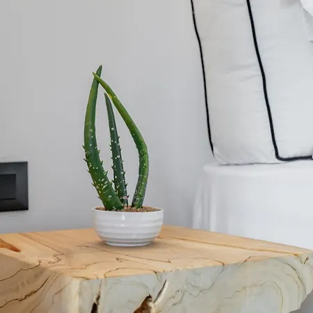 She Mykonos - Luxury Appartement Mykonos Town